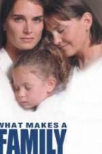 Watch What Makes a Family 0123movies