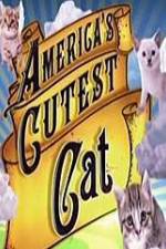 Watch America's Cutest Cat 0123movies
