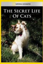 Watch National Geographic The Secret Life of Cats 0123movies
