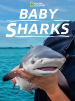 Watch Baby Sharks 0123movies