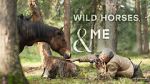 Watch Wild Horses, the Rockies and Me (TV Special 2025) 0123movies