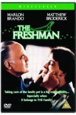 Watch The Freshman 0123movies