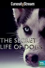 Watch Secret Life of Dogs 0123movies