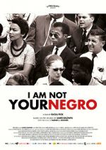 Watch I Am Not Your Negro 0123movies