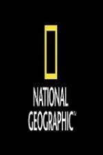 Watch National Geographic Wild Animal Attacks On Vacation 0123movies