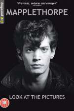 Watch Mapplethorpe: Look at the Pictures 0123movies