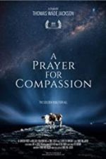 Watch A Prayer for Compassion 0123movies