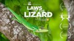 Watch Laws of the Lizard 0123movies