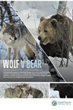 Watch Wolf vs Bear 0123movies