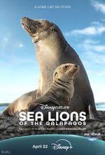 Watch Sea Lions of the Galapagos (TV Special 2025) 0123movies