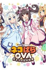 Watch Nekopara OVA Extra 0123movies