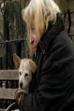 Watch Water in the Boat 0123movies