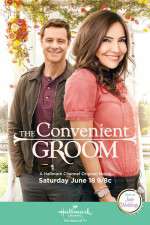Watch The Convenient Groom 0123movies