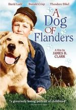 Watch A Dog of Flanders 0123movies