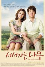 Watch Sleeping Tree 0123movies