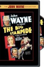 Watch The Big Stampede 0123movies
