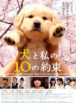 Watch 10 Promises to My Dog 0123movies