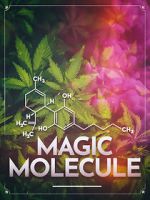 Watch Magic Molecule 0123movies