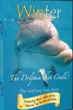 Watch Winter The Dolphin That Could 0123movies
