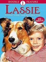 Watch Lassie: A New Beginning 0123movies