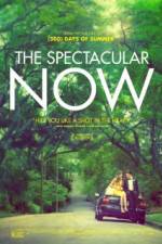 Watch The Spectacular Now 0123movies