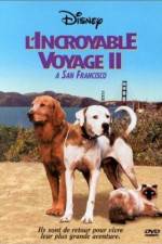 Watch Homeward Bound II Lost in San Francisco 0123movies