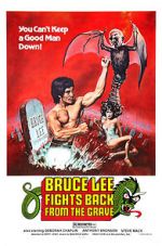 Watch Bruce Lee Fights Back from the Grave 0123movies