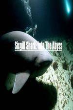 Watch National Geographic Wild Sixgill Shark Into The Abyss 0123movies