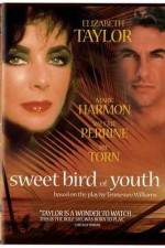 Watch Sweet Bird of Youth 0123movies