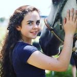 Watch Wildfire: The Legend of the Cherokee Ghost Horse 0123movies