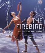 Watch The Firebird 0123movies