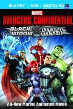 Watch Avengers Confidential: Black Widow & Punisher 0123movies