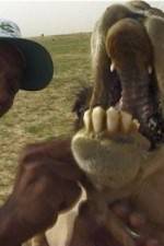 Watch With the Nomads 0123movies