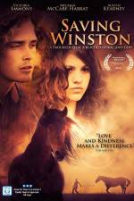 Watch Saving Winston 0123movies