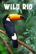 Watch Wild Rio 0123movies
