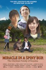 Watch Miracle in Kasama 0123movies