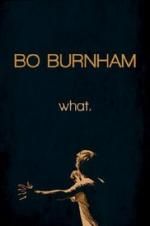 Watch Bo Burnham: what. 0123movies