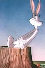 Watch The Unruly Hare 0123movies