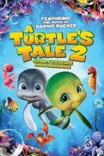 Watch A Turtle\'s Tale 2: Sammy\'s Escape from Paradise 0123movies