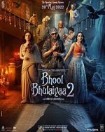 Watch Bhool Bhulaiyaa 2 0123movies