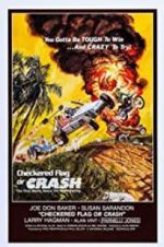 Watch Checkered Flag or Crash 0123movies