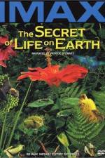 Watch The Secret of Life on Earth 0123movies