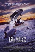 Watch Free Willy 2: The Adventure Home 0123movies