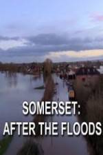 Watch Somerset: After the Floods 0123movies