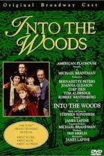 Watch Into the Woods 0123movies