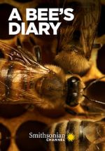 Watch A Bee\'s Diary (TV Special 2022) 0123movies