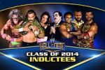 Watch WWE Hall of Fame 0123movies