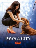 Watch Paws in the City 0123movies