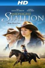 Watch Midnight Stallion 0123movies