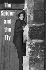 Watch The Spider and the Fly 0123movies